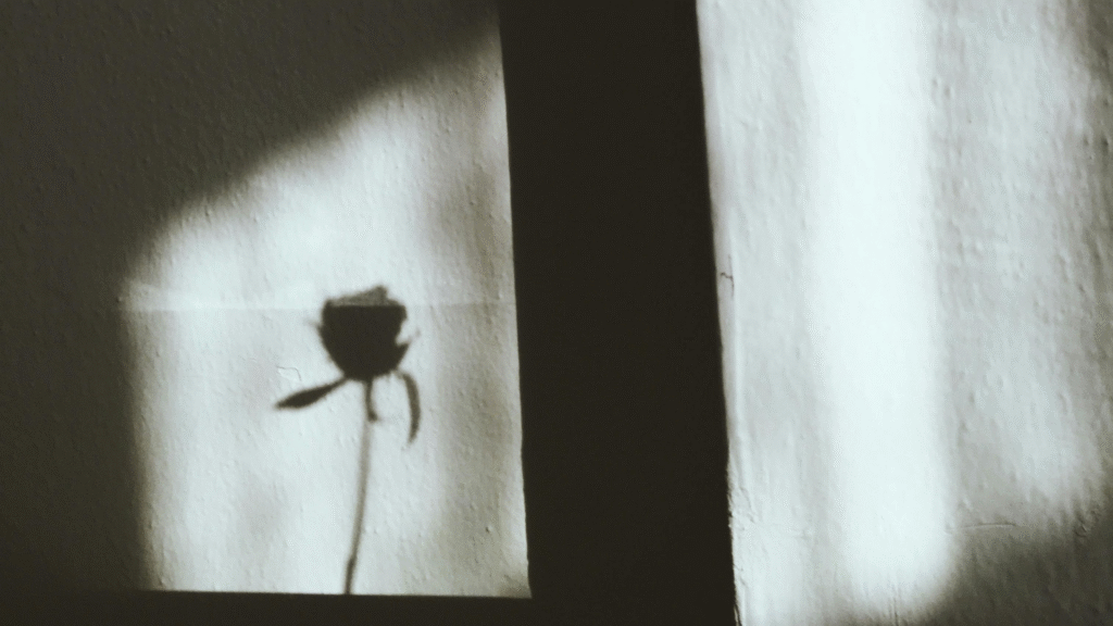 Opuściłam swój dom – Czyli jak bałam się być sobą.