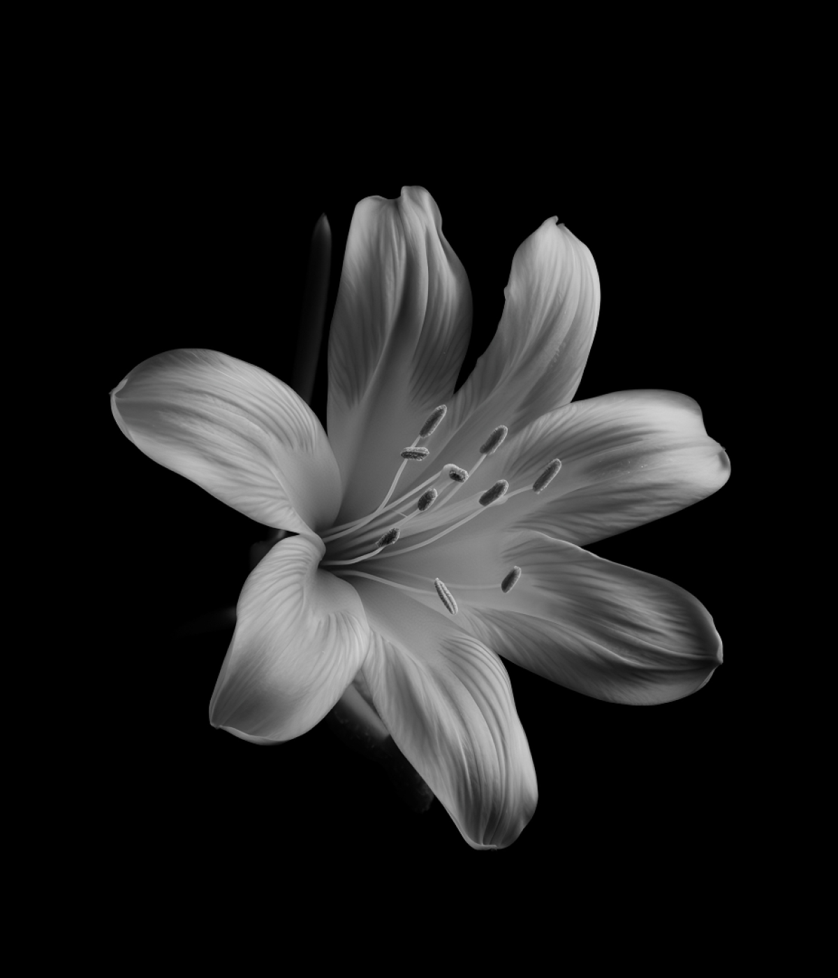 Untitled design (10)