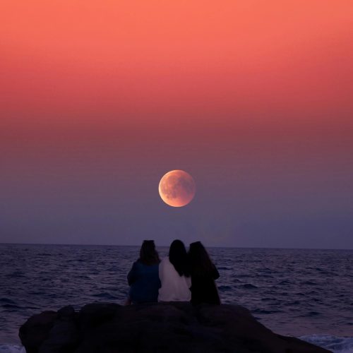 pexels-maxravier-3348489