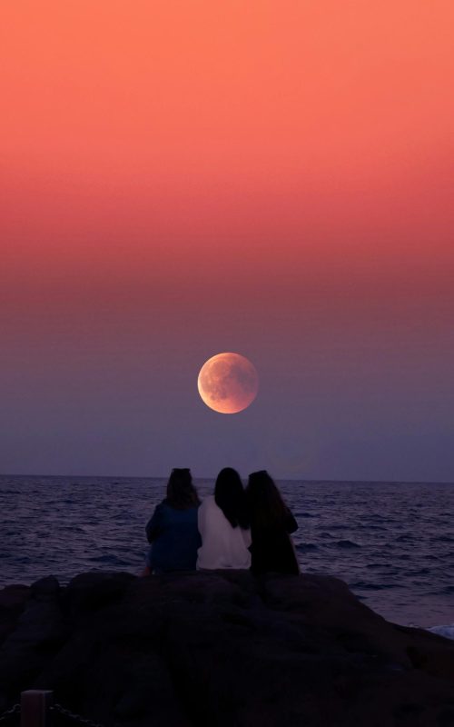 pexels-maxravier-3348489